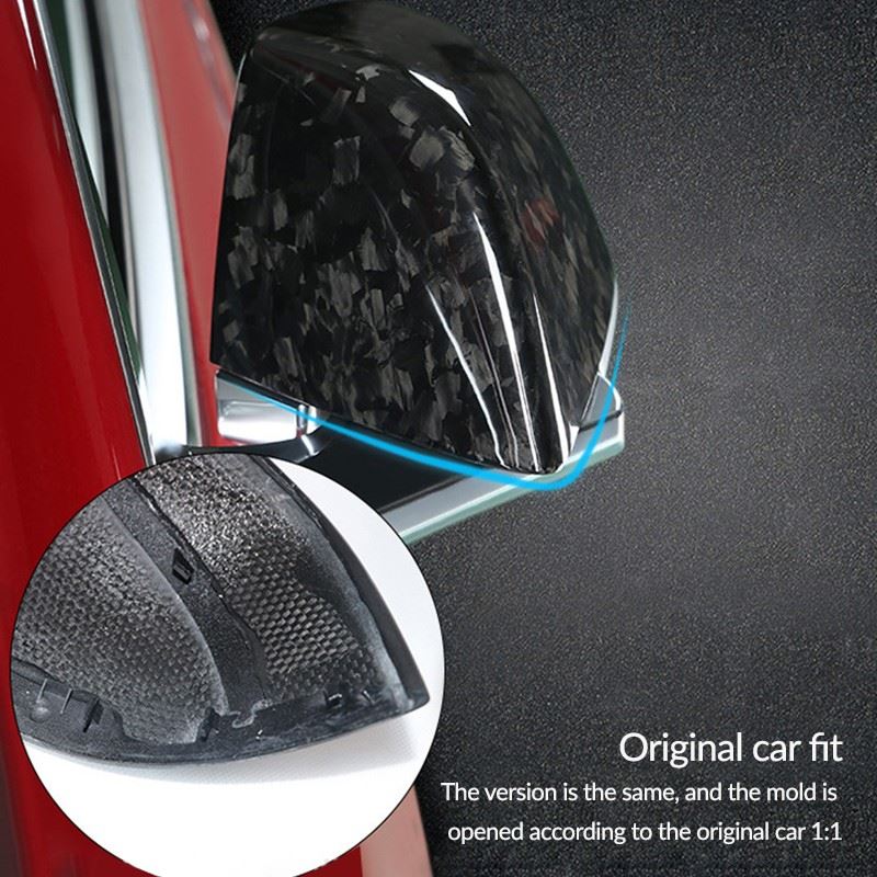 Tesla Rearview Housing